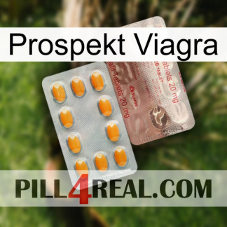 Prospecto Viagra new13